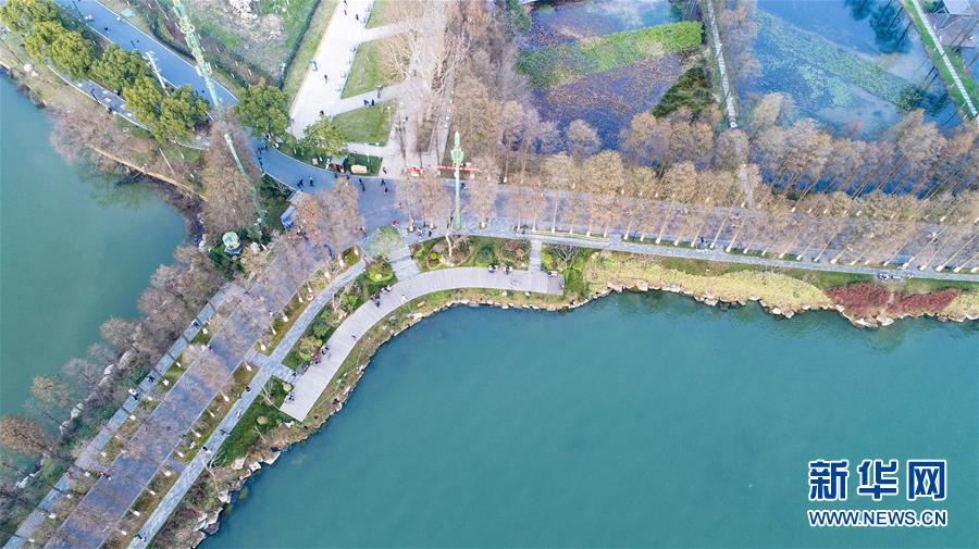 (两会·图文互动)(9)“这样的绿道太赞了!”——代表委员热议东湖绿道建设