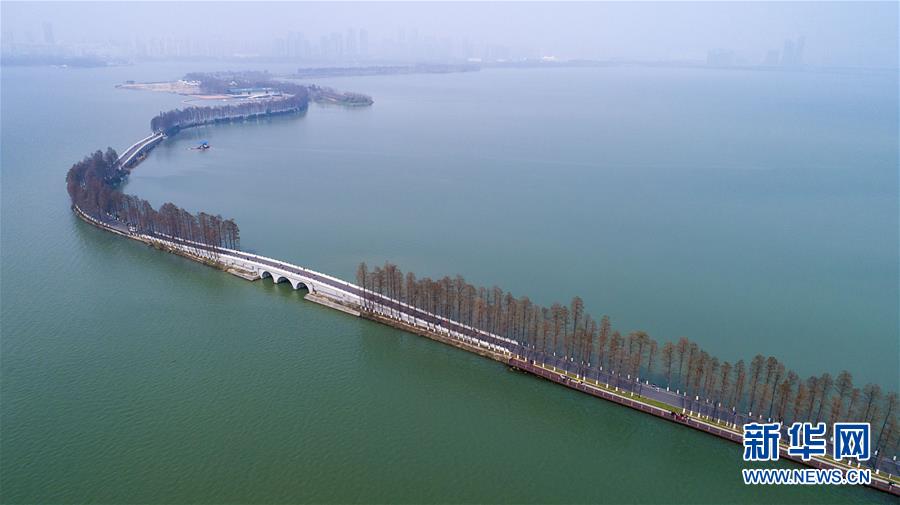 (两会·图文互动)(10)“这样的绿道太赞了!”——代表委员热议东湖绿道建设