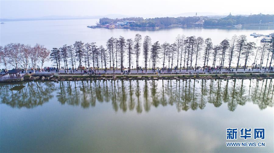 (两会·图文互动)(11)“这样的绿道太赞了!”——代表委员热议东湖绿道建设