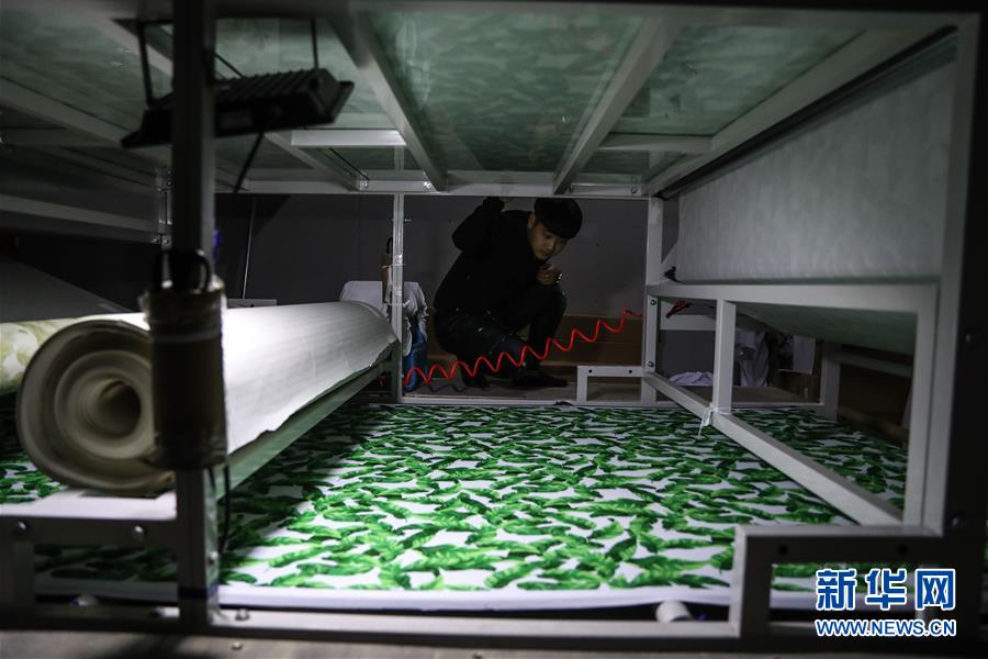 (新华全媒头条·图文互动)(6)从千年古城到国际泳装之都——看辽宁葫芦岛如何“七彩转身”
