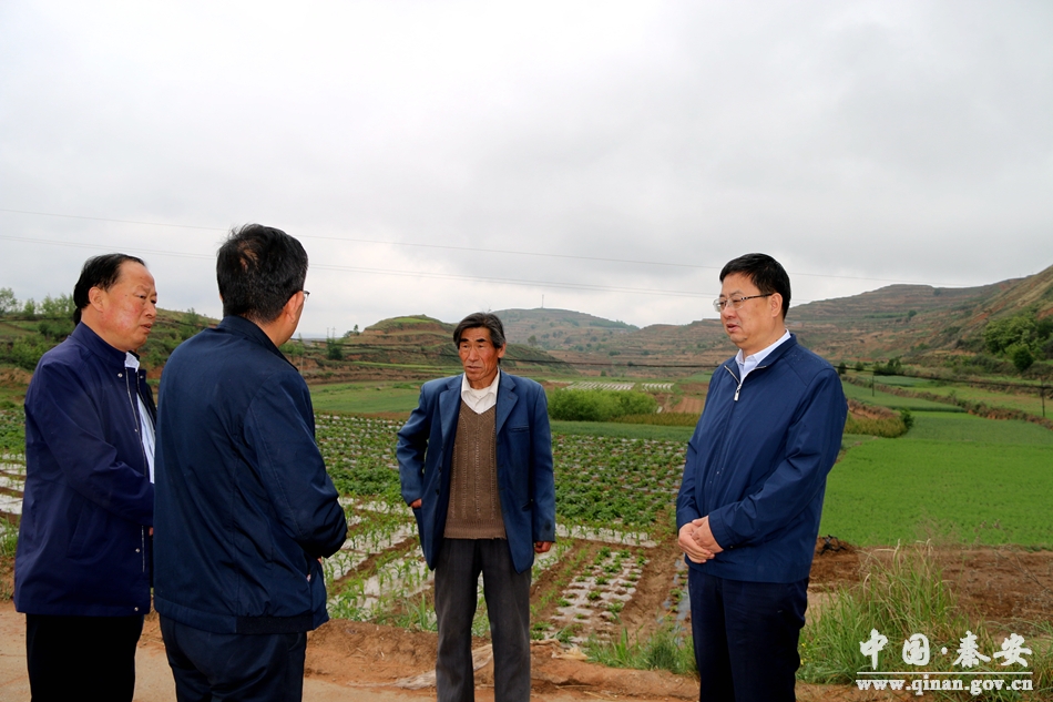 秦安县兴国人口_秦安县兴国镇行政区(3)