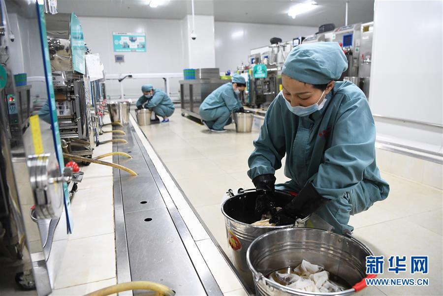(新华全媒头条·图文互动)(3)让中华瑰宝为呵护人类健康再放异彩——我国中医药传承创新发展迈进新时代