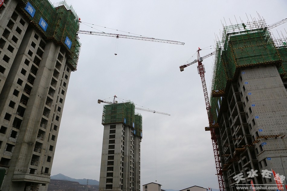 观摩组还对清水县南河川至贾川县乡道路网改造工程,贾川乡贾易地