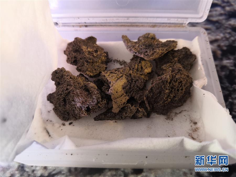 (图文互动)(4)郑州考古实证5000多年前中国先民已育蚕制丝