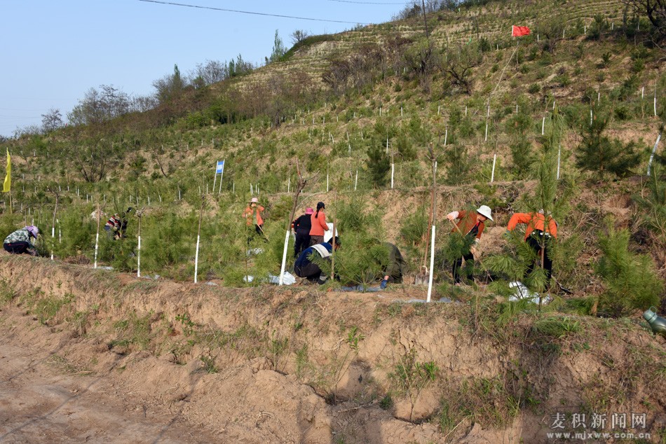 ï¼ˆ¢–åæ²³æµåŸŸå‘¢å¡€ æž—ç»¿åŒ–å¥ç‹ï¼‰