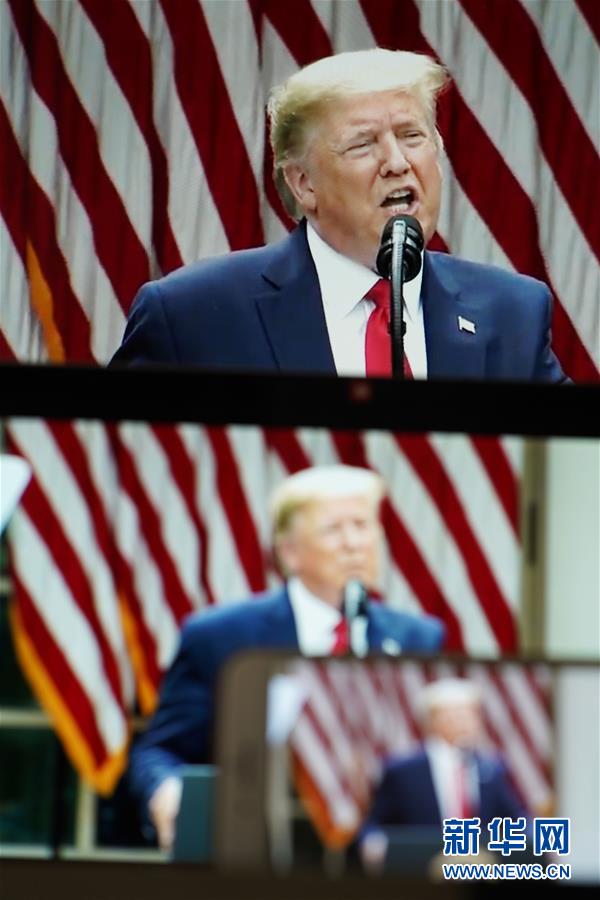 �����ʣ���1��������������������ֹ��������֯�Ĺ�ϵ