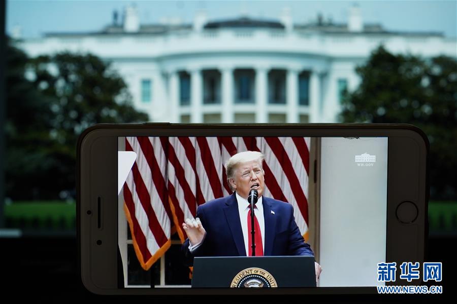 �����ʣ���3��������������������ֹ��������֯�Ĺ�ϵ