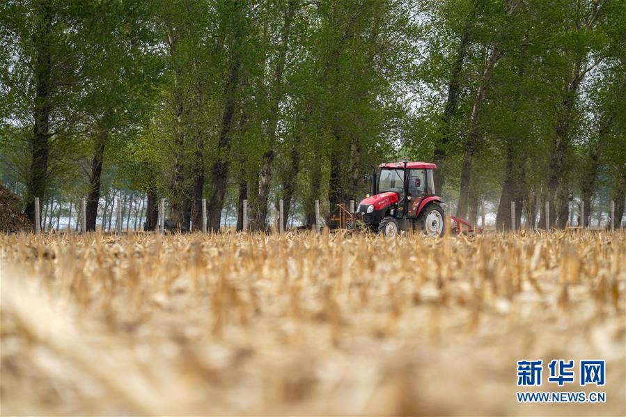 (在习近平新时代中国特色社会主义思想指引下——新时代新作为新篇章·习近平总书记关切事·图文互动)(9)让每一寸耕地都成为丰收的沃土——我国加强耕地保护推进“藏粮于地”