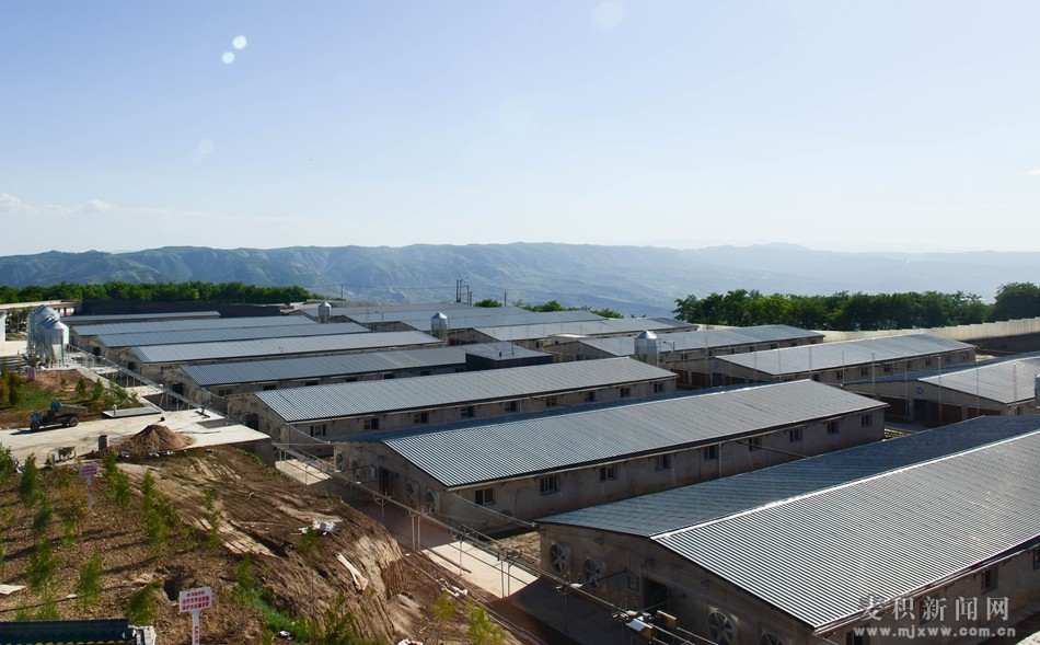 YBB_1405_&aring;&macr;&aelig;&not;.jpg