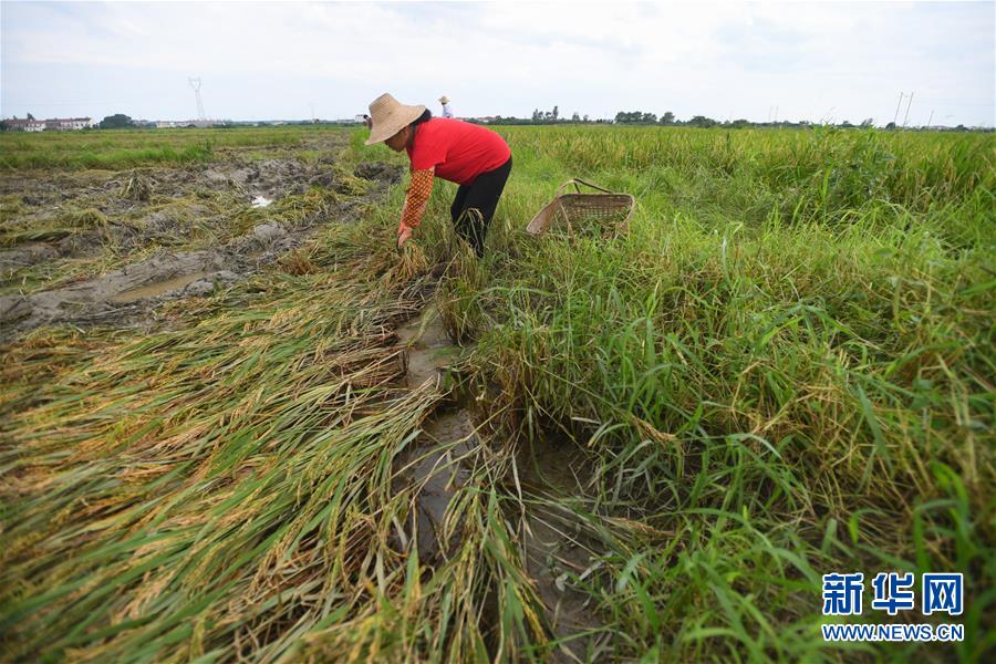 (新华全媒头条·图文互动)(13)为了人民群众生命财产安全——聚焦关键时期全国防汛抗洪工作