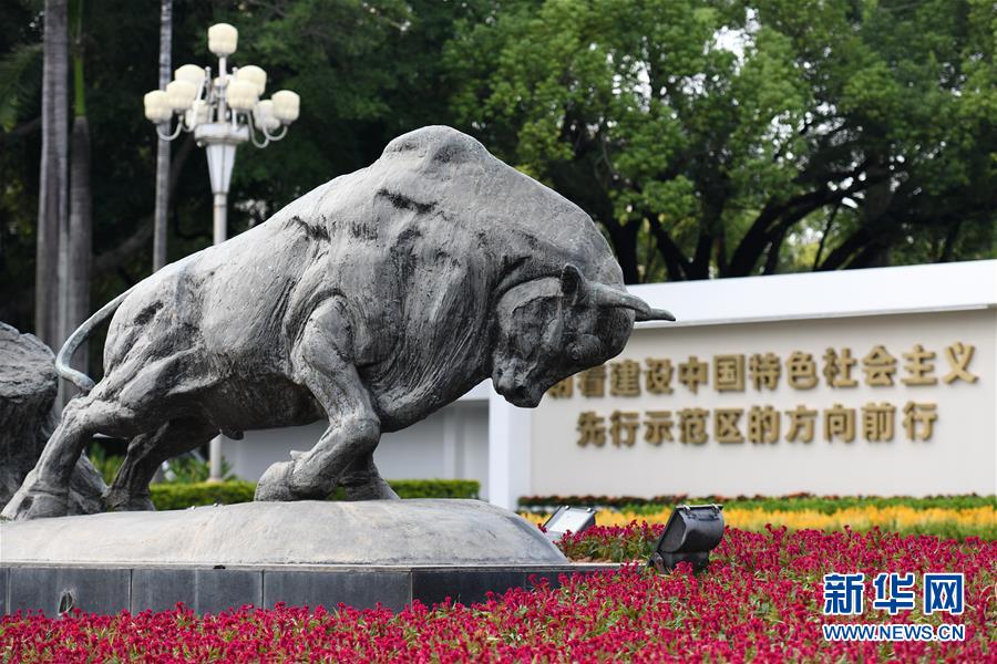 (新华全媒头条·图文互动)(9)创造新时代中国特色社会主义的更大奇迹——以习近平同志为核心的党中央关心经济特区发展纪实