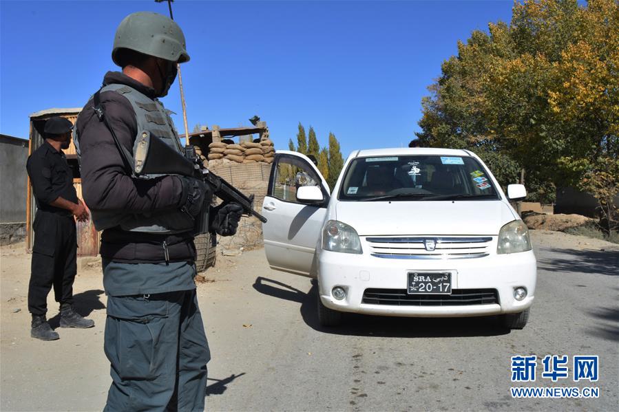 (国际)(1)阿富汗:击毙“基地”组织高级头目