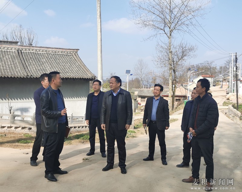 聂卫东深入伯阳镇督导调研脱贫攻坚基层党建等工作(图)