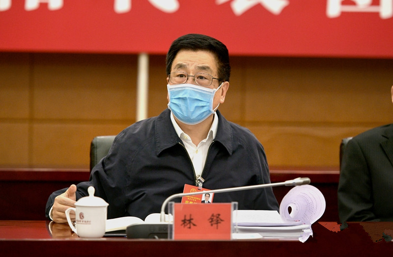 林铎参加庆阳代表团审议图