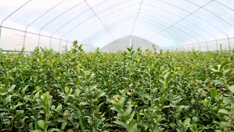 1615536788463091229.png 1615536788463091229.png