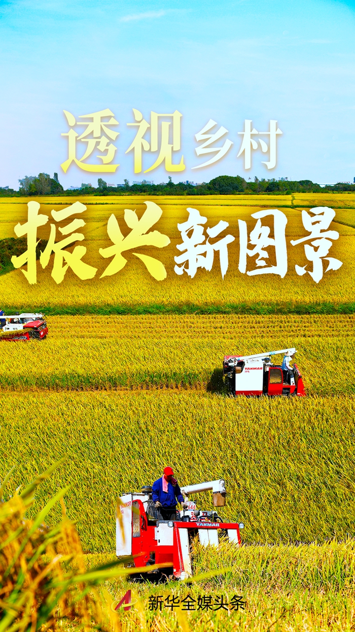 透视乡村振兴新图景(图)