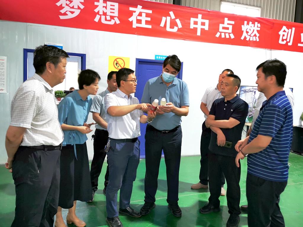 市委副书记杨小平调研武山县农业农村重点工作图