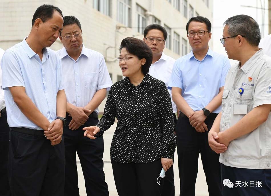 天水市委书记张永霞调研电工电器产业发展情况图