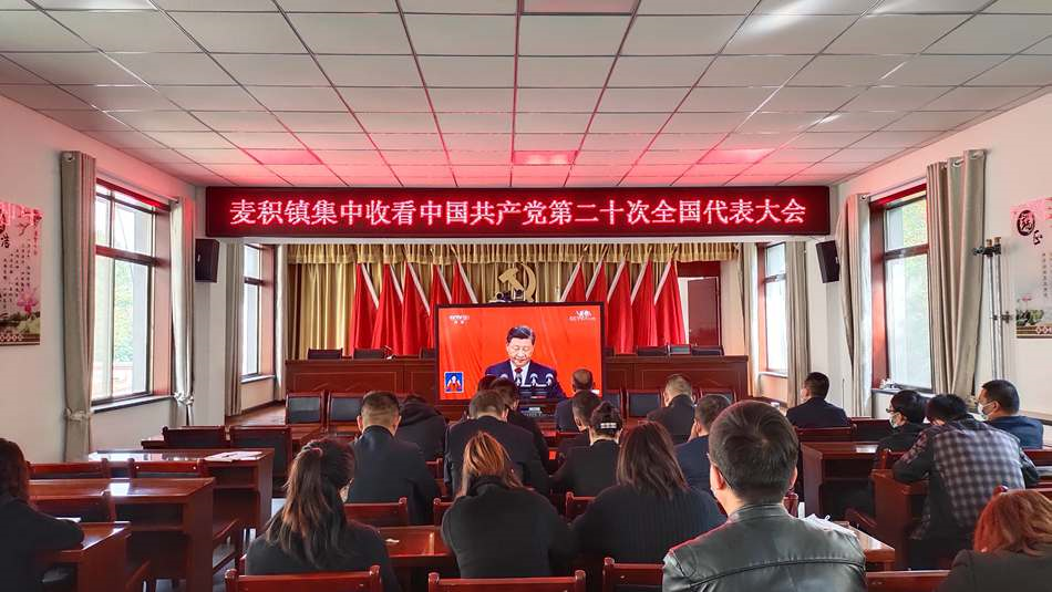 麦积镇_副本