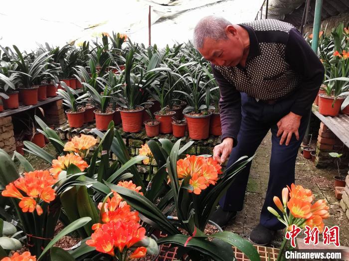 ʮ@ÿһܶ㡿ѧֲӱ65˴조԰