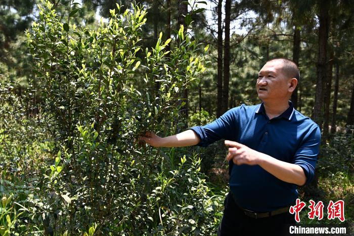 ʮ@ÿһܶ㡿аĶɽԺ󶼳ɽɽɽ