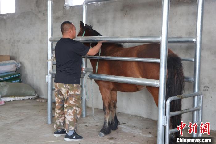 ʮ@ÿһܶ㡿˳ġ+Ƽ¸