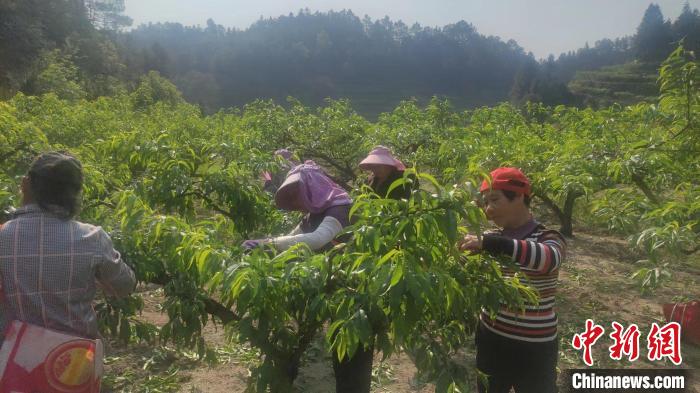 踣ҵ԰λƽ1000ϵͷ塣ź 