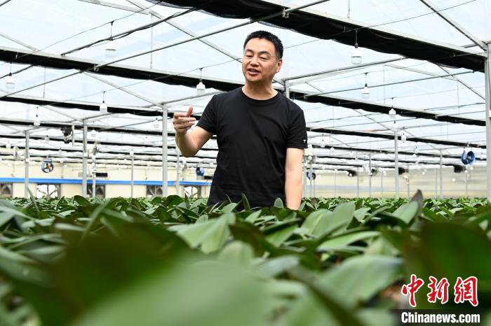 ʮ@ÿһܶ㡿½̨ũ뻨20أǿҵһ