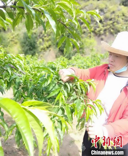 ʮ@ÿһܶ㡿ӽԵʮ꣺ֲ⺺¸ͷ