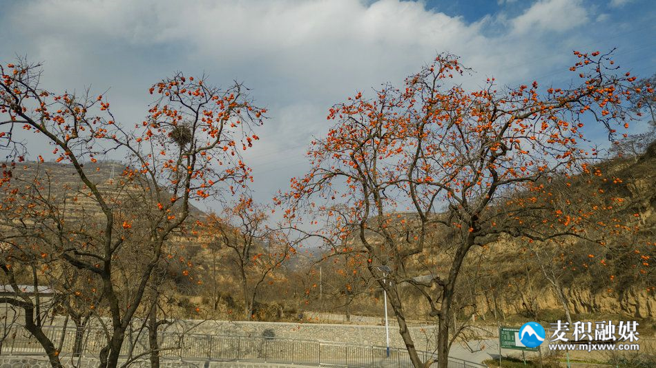 DJI_00171