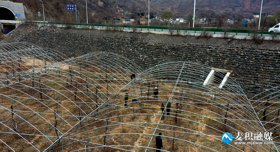 微信图片_20230321212939