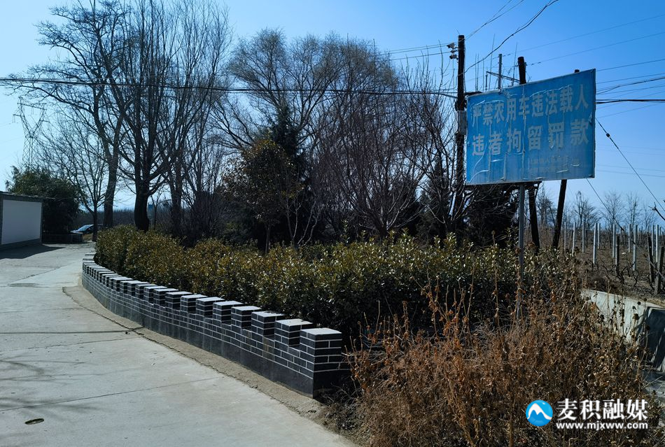 微信图片_20230308191226_副本