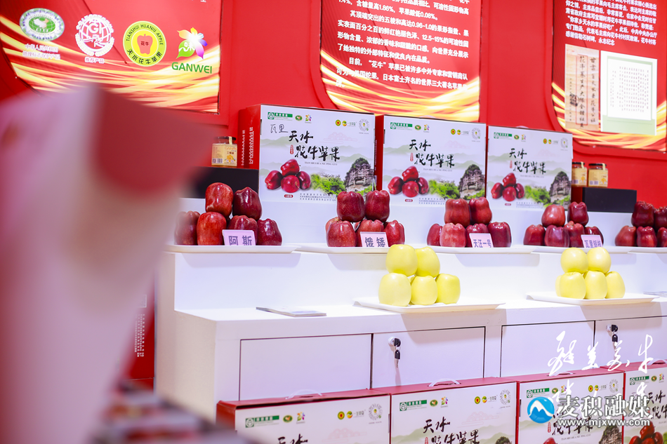 图片16