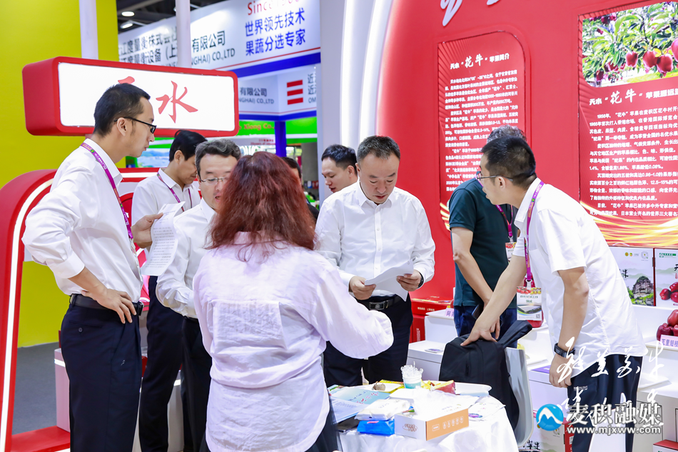图片12