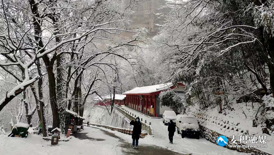 cd84c8a14ae58e5106eff5519889ba7