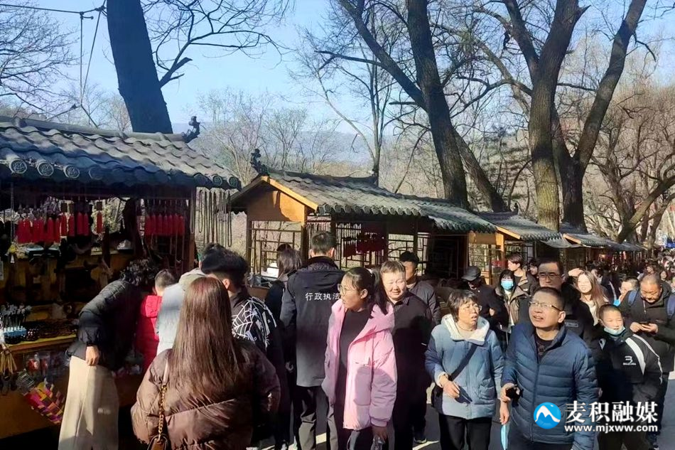 图片4_副本