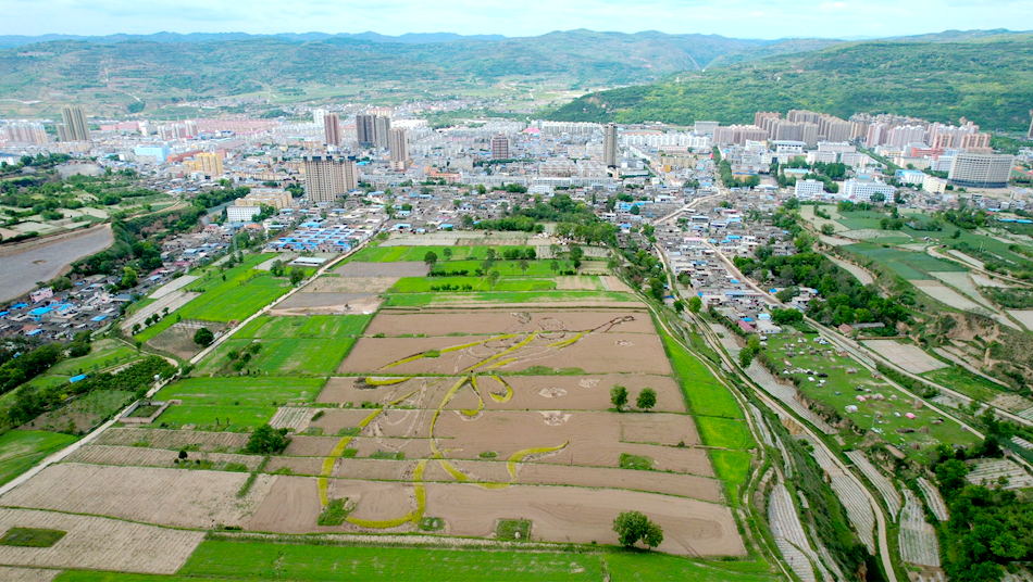香怡南塬