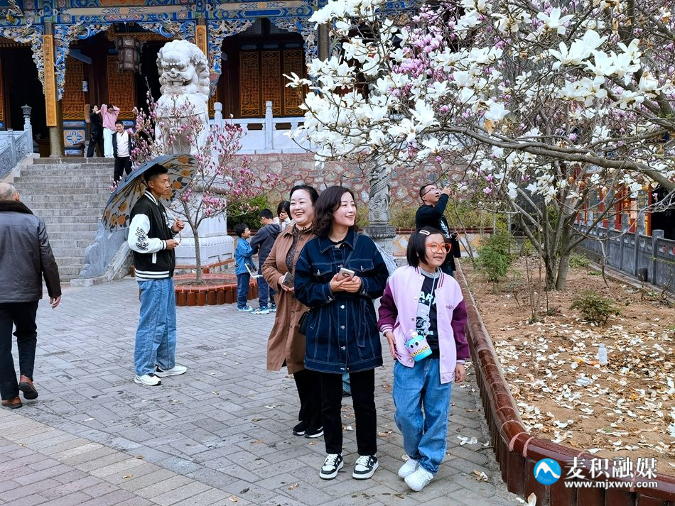 微信图片_20240405224832