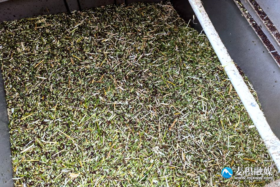 微信图片_20240604142107