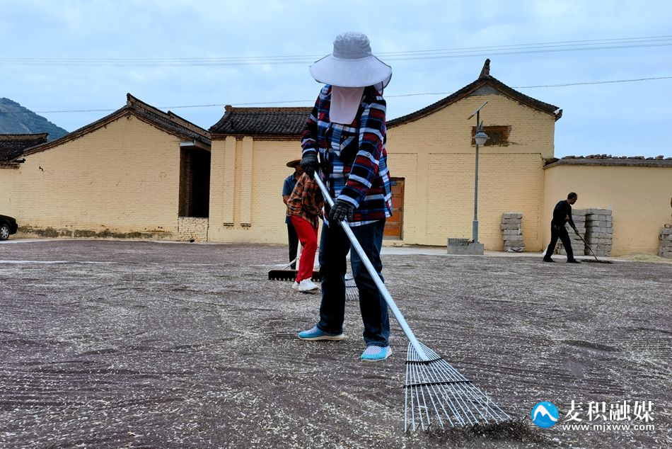 微信图片_20240604142058