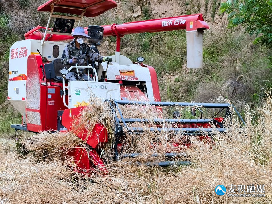 微信图片_20240604142111