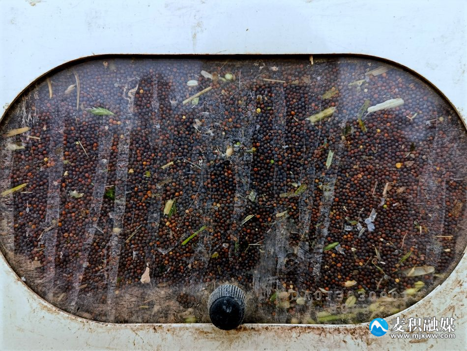 1717482283567085397 (1)