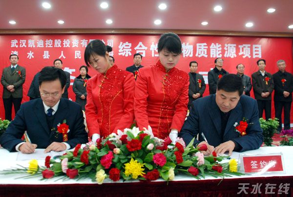 清水县与武汉凯迪公司签订生物质能源项目(组